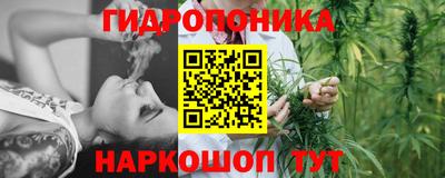 спиды Кинель