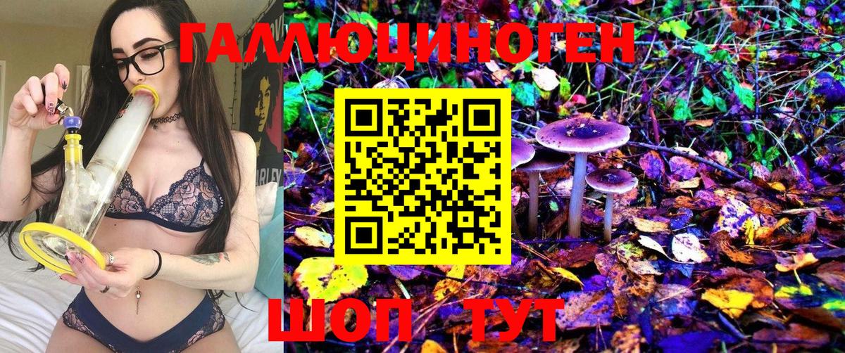 Галлюциногенные грибы Psilocybine cubensis Ипатово